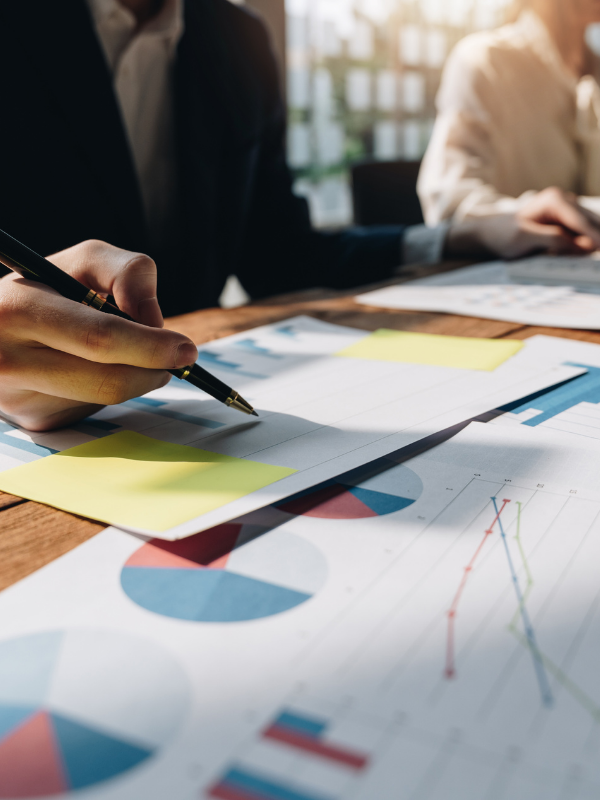 Budget economico/finanziari e Business plan